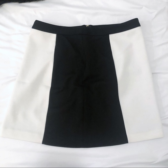 Vivienne Tam Dresses & Skirts - Vivienne Tam Black and White A-Line Mini Skirt